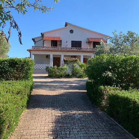 לקונה Villa Conti Residence מראה חיצוני תמונה